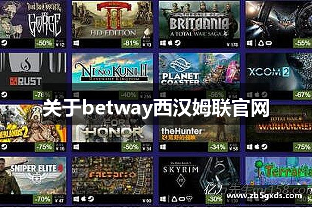 关于betway西汉姆联官网